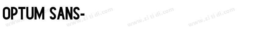 Optum sans字体转换